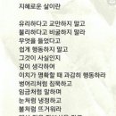 #지혜로운