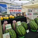 양평 주말 나들이 갔다가 청운면 용두시장 수박축제 다녀온 후기