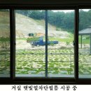 햇빛농장 이미지