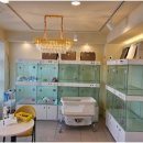 라이프독 강릉점 24시 강아지분양 고양이분양 이미지