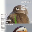 조몰락 이미지