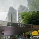 제주도야지빵경이네 | 역삼동 사진관 / 삼월 스튜디오, 강남프로필사진 잘 찍는 곳, 30분만에 퍼스널컬러 증명사진 GET! (Feat...