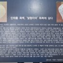 용인대학교박물관 이미지