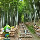 테마민박 이미지