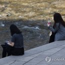 커피계절 이미지