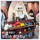 이루네 애완미용샵 | 미니소 홍대 신상 소품샵 - 서울 해리포터, 스누피 등 캐릭터 소품샵