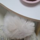 굽내치킨마산양덕