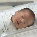 팔팔병원 | 임신이야기_ 구미 차병원 유도 분만 후기 및 제왕절개 후기(유도 분만 실패❌)