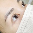 비비도리스 애견샵 | 강동역 속눈썹펌 아뜰리에 초록 내돈내산 자극 없는 저자극 블랙펌