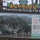 용인자연휴양림 광장 이미지