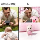 롤러코스터에 스스로 탑승했어요 (돼지의 일상, 보름달피스타치오빵 맛평가, 경주카페, 청년의 날 행사)