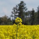 수행정사사무소 이미지
