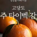 청년청과 이미지