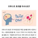 1월29일(월)경기인천방 출석부/마들렌 효과 이미지