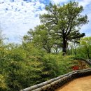 성전암등산로 이미지