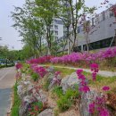 사리울근린공원 이미지