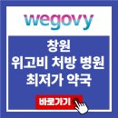 다나약국 | 창원 위고비 처방 병원 최저가 약국 가격 비교 가장 싼 곳 찾기 후기