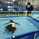 갑을축산 이미지