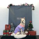 독클래스 이미지