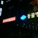 오거리동물병원 이미지