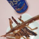 쵸이엘푸드 | 쵸이엘푸드 맛있고 부드러운 오징어 슬라이스틱 판매하고 있어요..