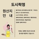 신안신의중학교 이미지