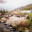 [대구안] 앞산공원/대구의 전통적인 데이트 명소 이미지