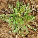 마도우체국 이미지