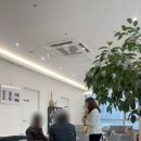 정관장강서점