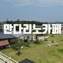 만다리노 | [제주 조천 카페] 아이와 함께 갈만한 카페를 찾는다면 무조건 가야하는 곳 "만다리노 카페" 솔직후기