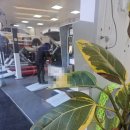 병영점 기아오토큐 이미지