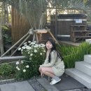 하비 솔 하우스 이미지