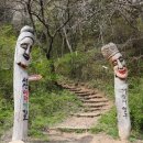 아라메길 (해미국제성지순례길) 이미지