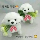 무엇을 생각하며 사십니까? 이미지