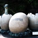 남리5일시장 | 해남농산물 체험단 그린투어 (4월 27일~28일)