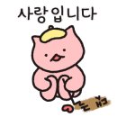 더데판 - 남구 돋질로220번길 15 | 더데판