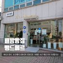 배방빵집 뺑드메르 케이크 맛집 이곳에서만 느낄수있는 특별함 아산 베이커리