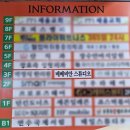 [인천 아기 사진관] 베베비안스튜디오 : 조리원 친구들과 1000일 사진촬영 우정촬영 후기