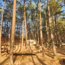 백운산 자연휴양림 야영장 이미지