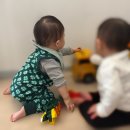 그린 클로버 | 던스 클로버 비스트로 그린 덩가리 80사이즈 10개월 후기