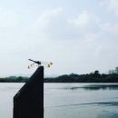 사계지낚시터 이미지