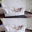 까사알렉시스천안 이미지