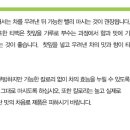 루비진 이미지