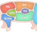 제0203호: 돼지고기(신선/냉장/냉동) 이미지