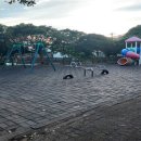 문부공원 이미지