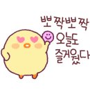 해피디자인 이미지