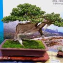 (사)남도분재협회 이미지