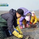 사계절칼국수 이미지