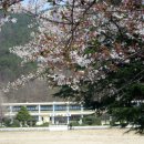 도전분교 이미지