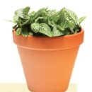 범어4동제2경로당 이미지